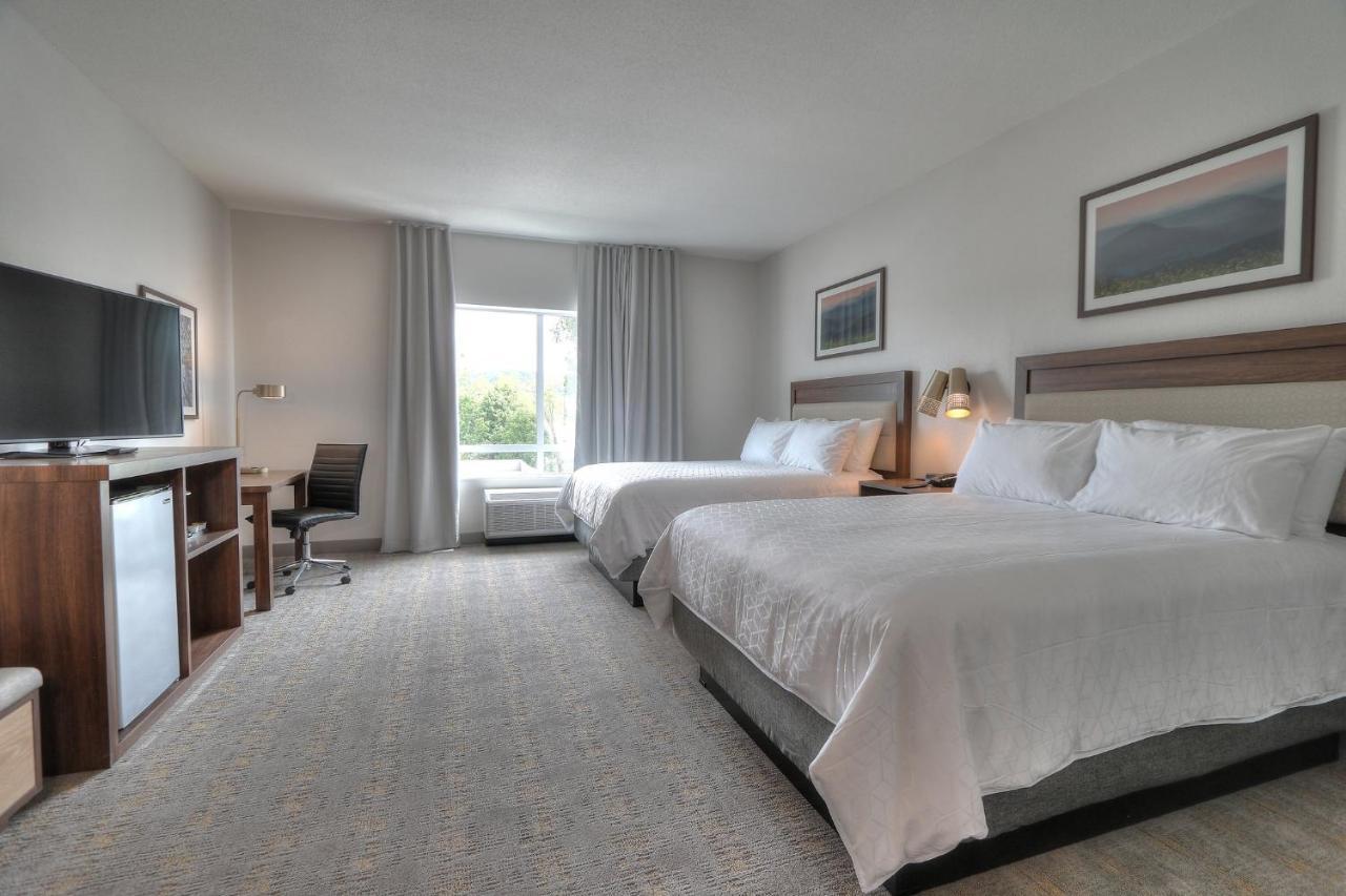 Holiday Inn & Suites Pigeon Forge Convention Center, An Ihg Hotel מראה חיצוני תמונה