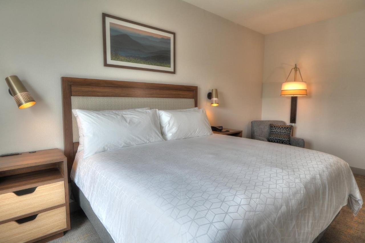 Holiday Inn & Suites Pigeon Forge Convention Center, An Ihg Hotel מראה חיצוני תמונה