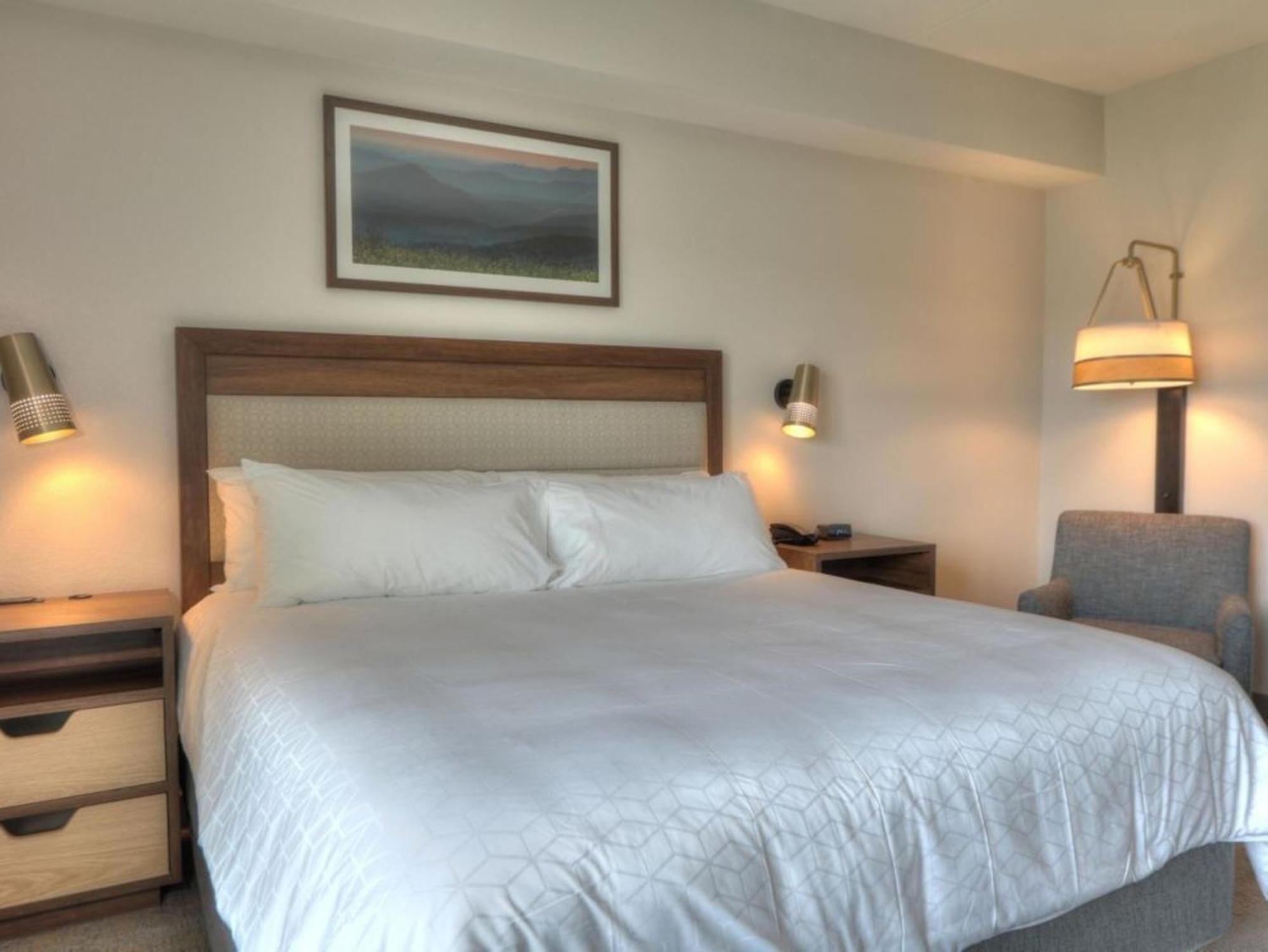 Holiday Inn & Suites Pigeon Forge Convention Center, An Ihg Hotel מראה חיצוני תמונה